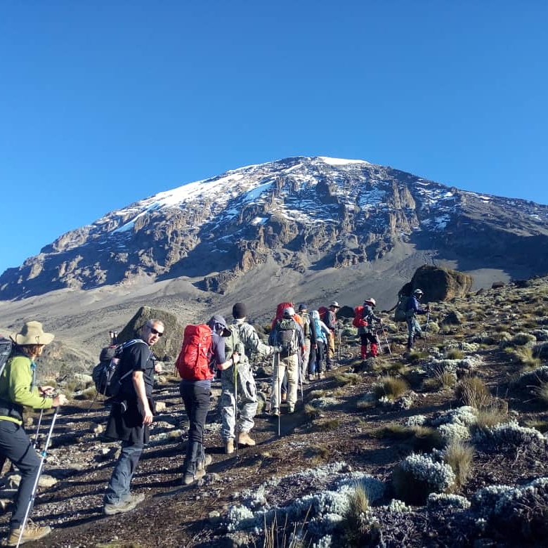 Best Time to Climb Kilimanjaro | Climbing Mount