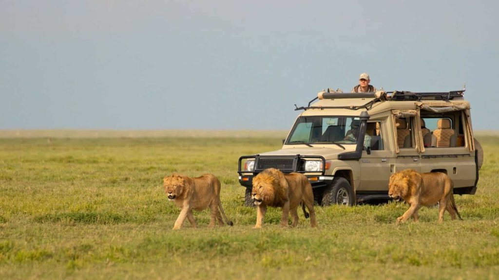 5 Days Short Tanzania Luxury Honeymoon Safari Tour