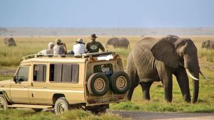 Tanzania Safari Reviews Car